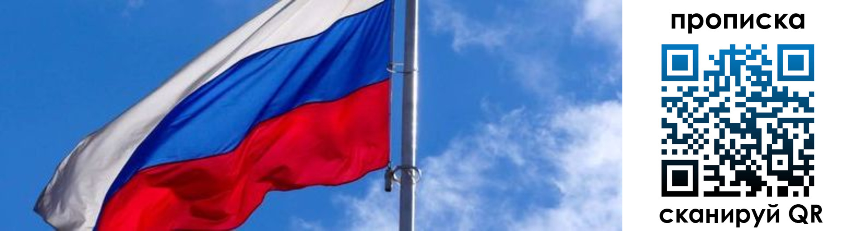 прописка поиск в Светогорске